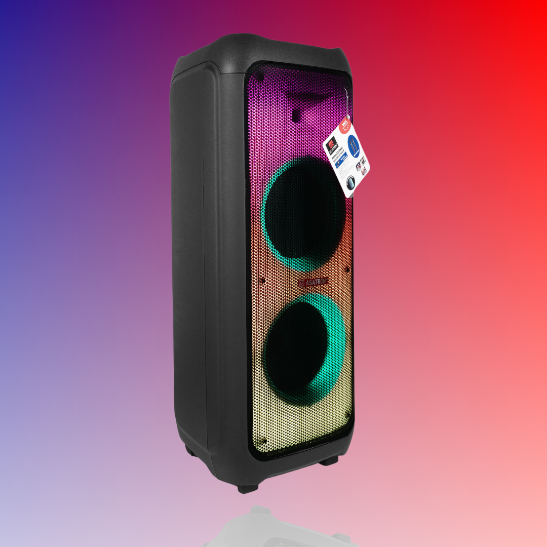 Dual Woofer Speakers